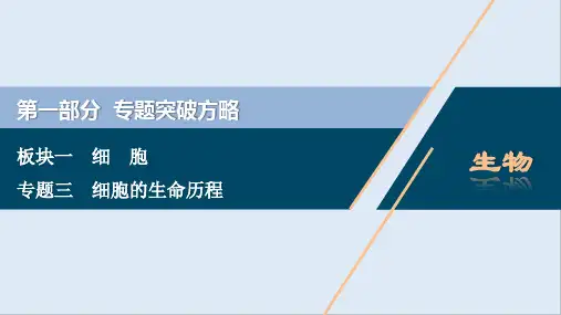 2020江苏高考生物二轮课件：3 专题三 细胞的生命历程 