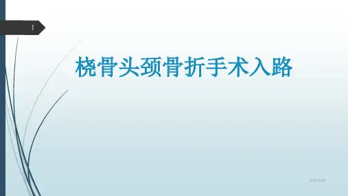 桡骨头颈骨折手术入路PPT参考幻灯片