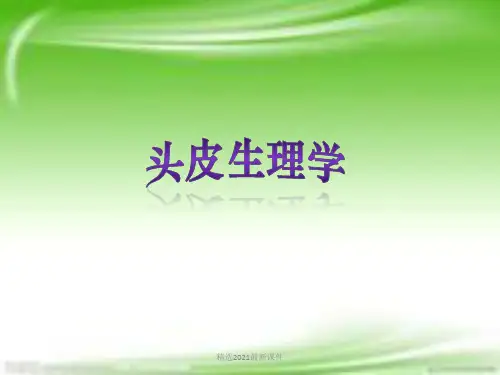 头皮生理学PPT课件
