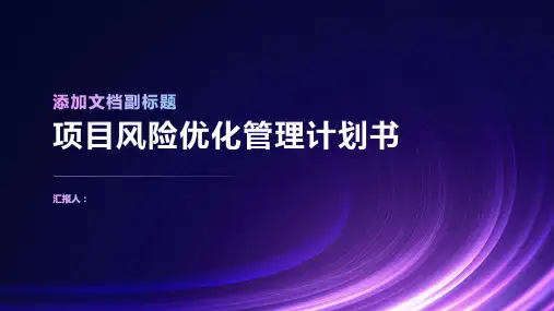 项目风险优化管理计划书