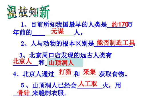 人教部编版历史《原始农耕生活》免费课件