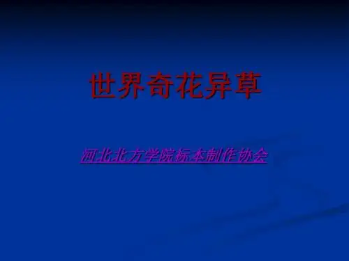 世界奇花异草