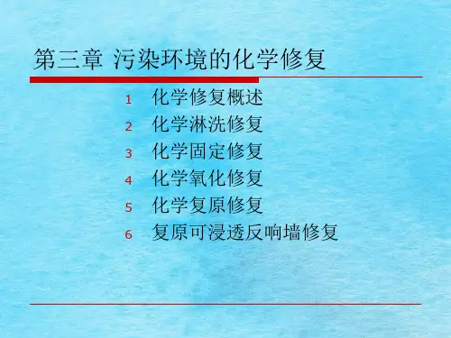 环境污染的化学修复ppt课件