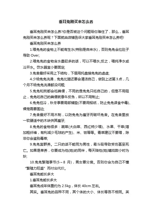 垂耳兔刚买来怎么养