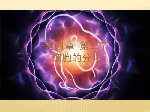 第四章第二节 细胞的分化(12张PPT)