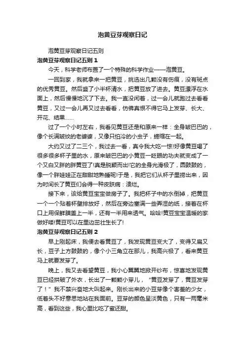 泡黄豆芽观察日记五则