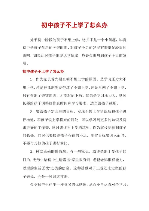初中孩子不上学了怎么办