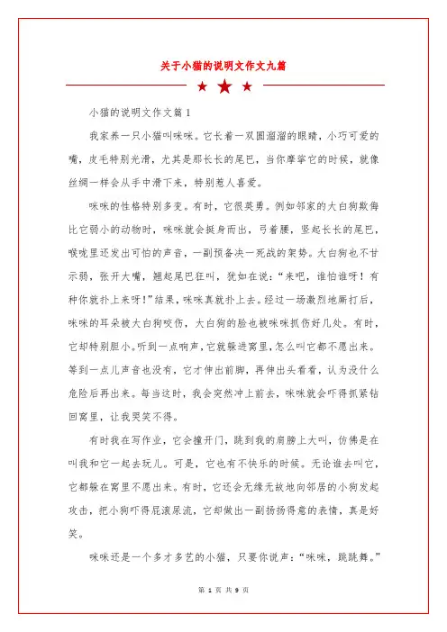 关于小猫的说明文作文九篇