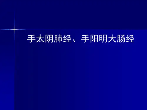 6、手太阴肺经、手阳明大肠经
