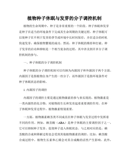 植物种子休眠与发芽的分子调控机制