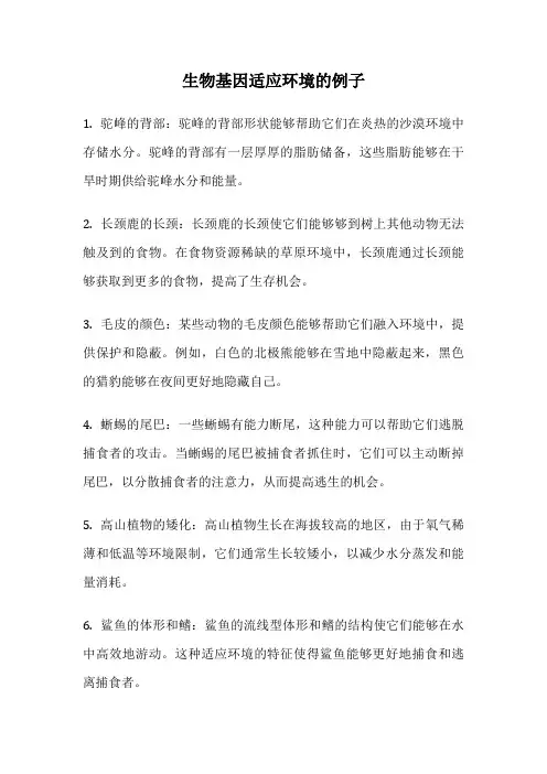 生物基因适应环境的例子