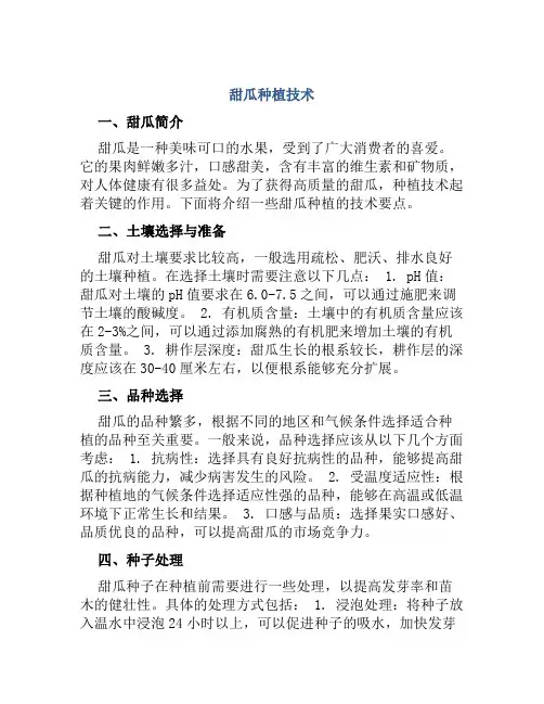 甜瓜种植技术