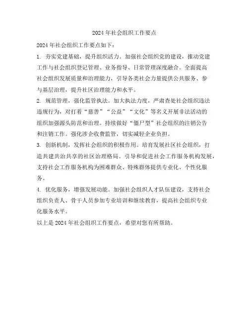 2024年社会组织工作要点