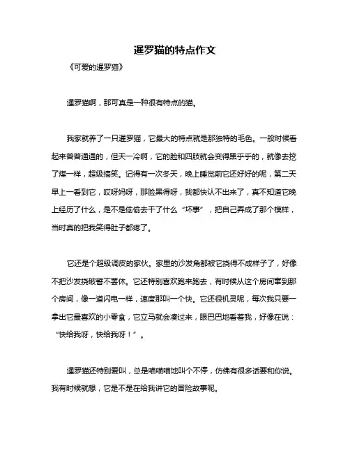 暹罗猫的特点作文