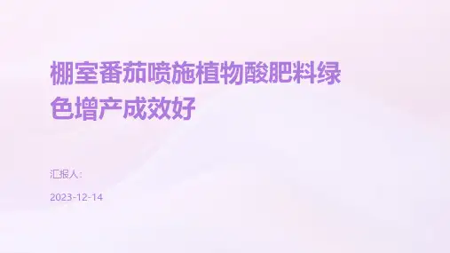 棚室番茄喷施植物酸肥料绿色增产成效好