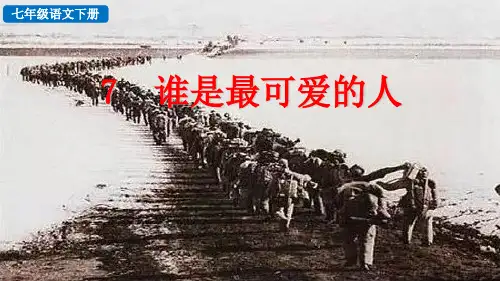 (2023春)部编版语文七年级下册《  谁是最可爱的人》PPT课件
