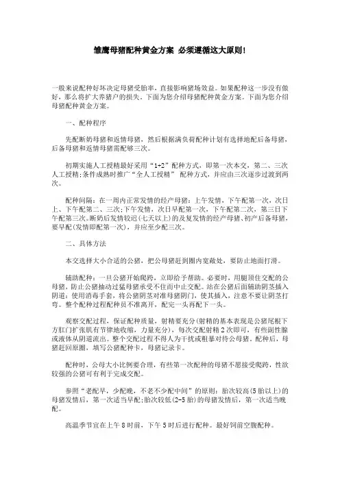 雏鹰母猪配种黄金方案 必须遵循这大原则!