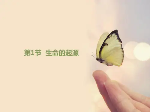 初中生物  生命的起源11 北师大版精品课件