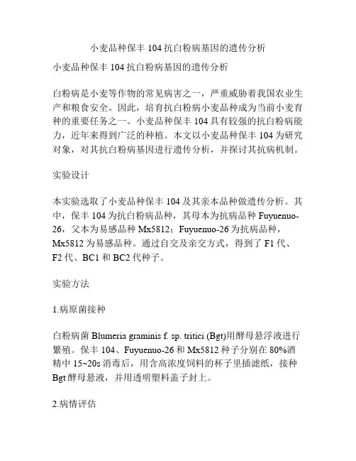 小麦品种保丰104抗白粉病基因的遗传分析