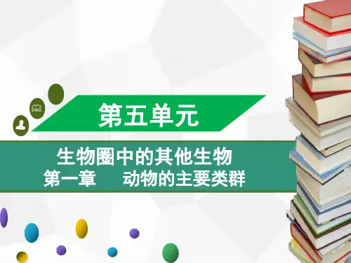 人教版八年级上册生物 第五单元 第一章 第六节 鸟 课件