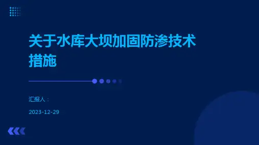关于水库大坝加固防渗技术措施