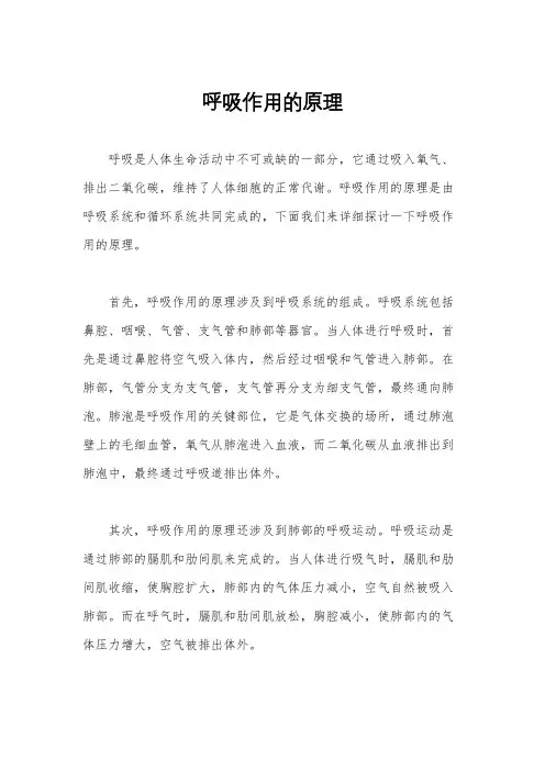 呼吸作用的原理