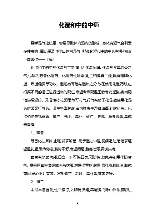 化湿和中的中药