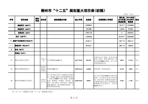 “十二五”规划重大项目表