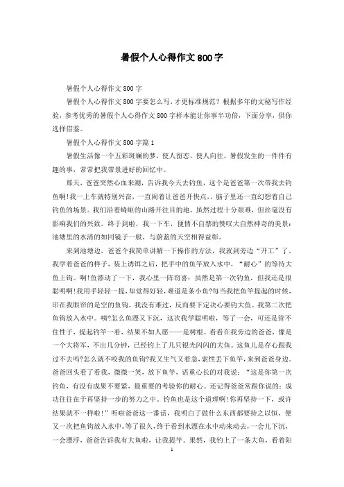 暑假个人心得作文800字