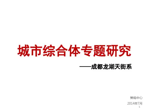 (完整版)龙湖天街系列产品线研究