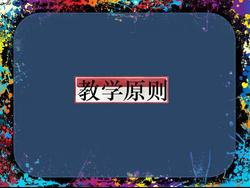 教学原则