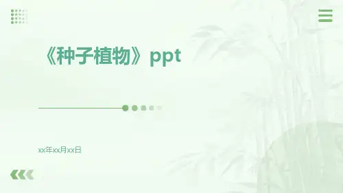 《种子植物