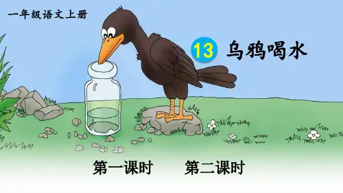 《乌鸦喝水》PPT课件(精品)