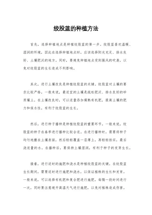 绞股蓝的种植方法