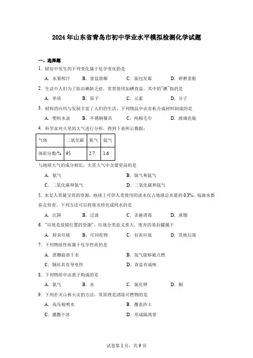 2024年山东省青岛市初中学业水平模拟检测化学试题