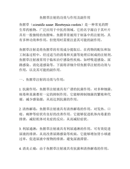 鱼腥草注射的功效与作用及副作用
