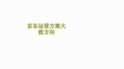 京东运营方案大致方向课件