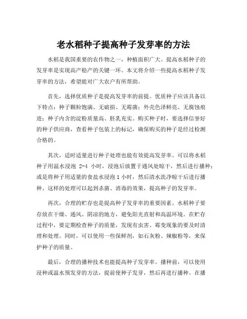 老水稻种子提高种子发芽率的方法