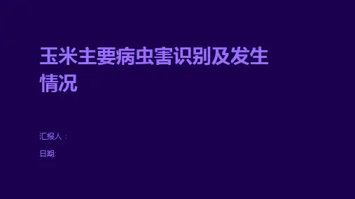 玉米主要病虫害识别及发生情况
