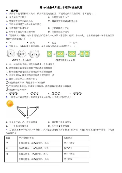 潍坊市生物七年级上学期期末生物试题