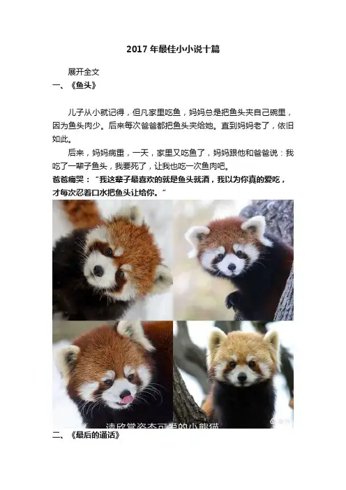 2017年最佳小小说十篇
