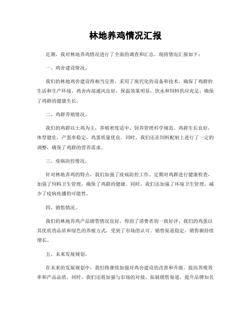 林地养鸡情况汇报