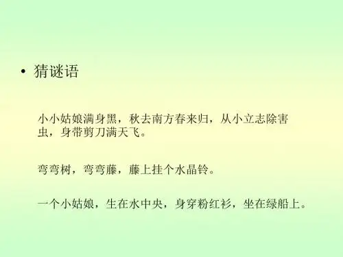 有趣的动物植物