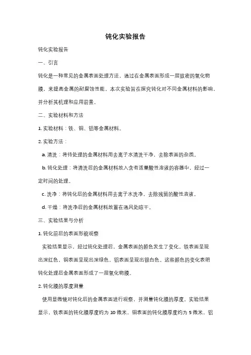 钝化实验报告