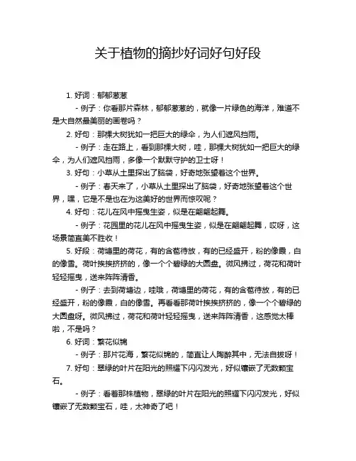 关于植物的摘抄好词好句好段