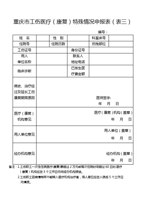 特殊情况申报表