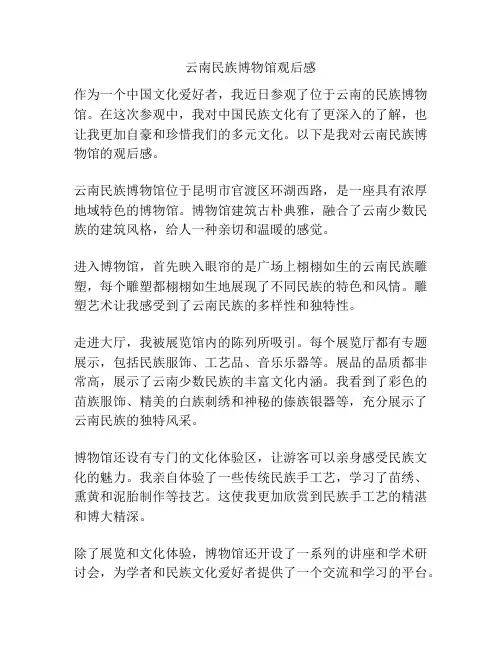 云南民族博物馆观后感