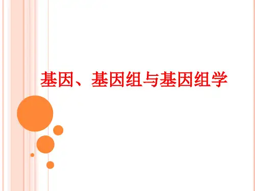 分子生物学：基因、基因组与基因组学