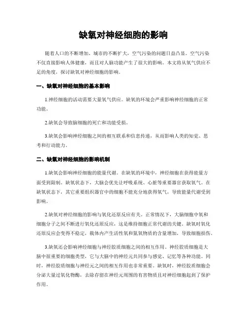 缺氧对神经细胞的影响