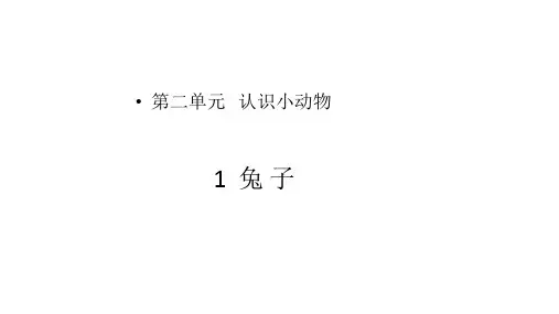 大象版小学一年级上册科学 第二单元 认识小动物 1 兔子 课件